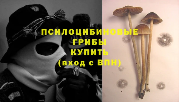 прущие крисы Баксан