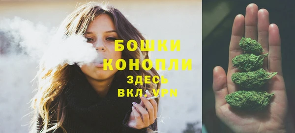 прущие грибы Аркадак