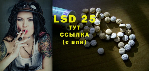 прущие грибы Аркадак