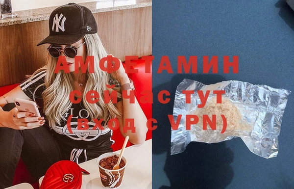 прущие грибы Аркадак