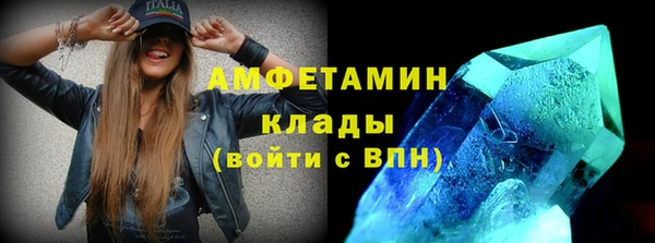 прущие грибы Аркадак