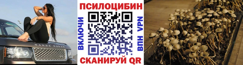 Псилоцибиновые грибы ЛСД  Оленегорск 